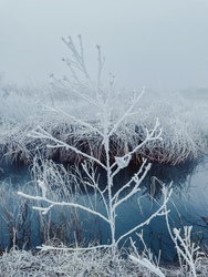 Illa berek, nádak, erek… 4.