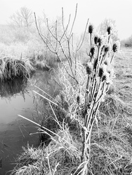 Illa berek, nádak, erek… 7.