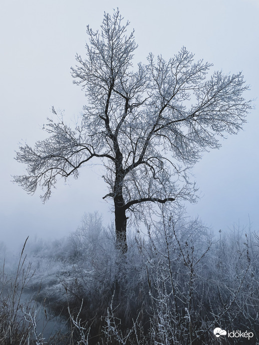 Illa berek, nádak, erek… 13.