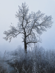 Illa berek, nádak, erek… 13.