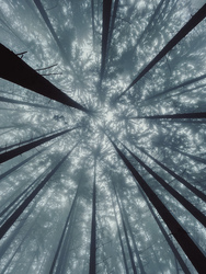 Óriások kertje. 4.