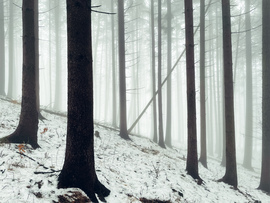 Óriások kertje. 5.