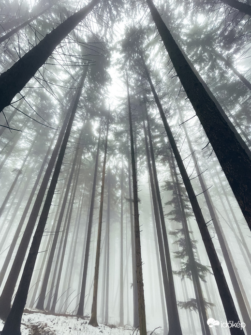 Óriások kertje. 7.