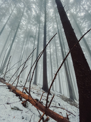 Óriások kertje. 8.