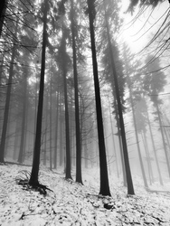 Óriások kertje. 11.