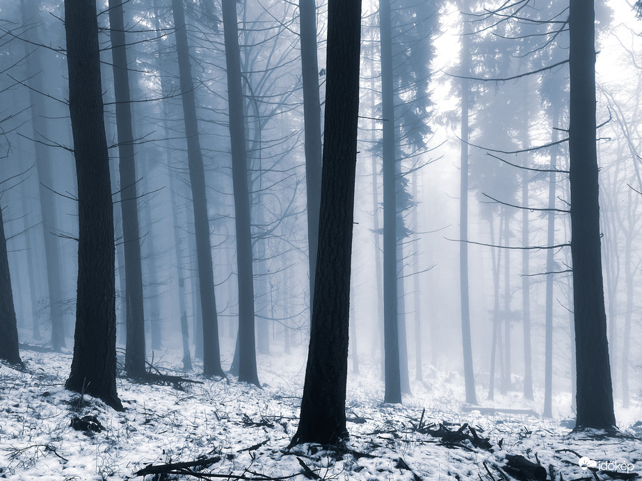 Óriások kertje. 12.