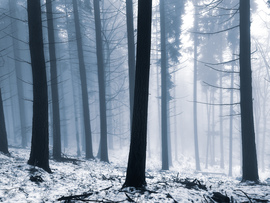 Óriások kertje. 12.