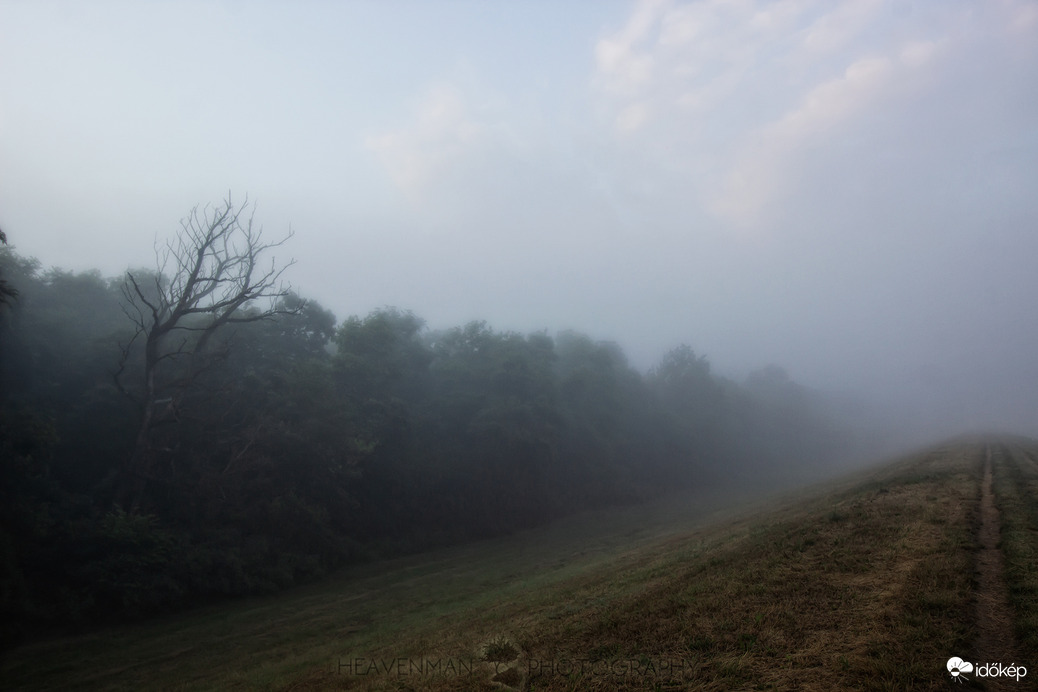 Itt van a nyár itt van újra, s szép, mint mindig énnekem 4.