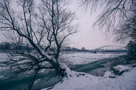 Beállt a jég a Tiszán... 2. 