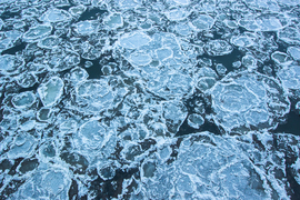 Beállt a jég a Tiszán... 8. 