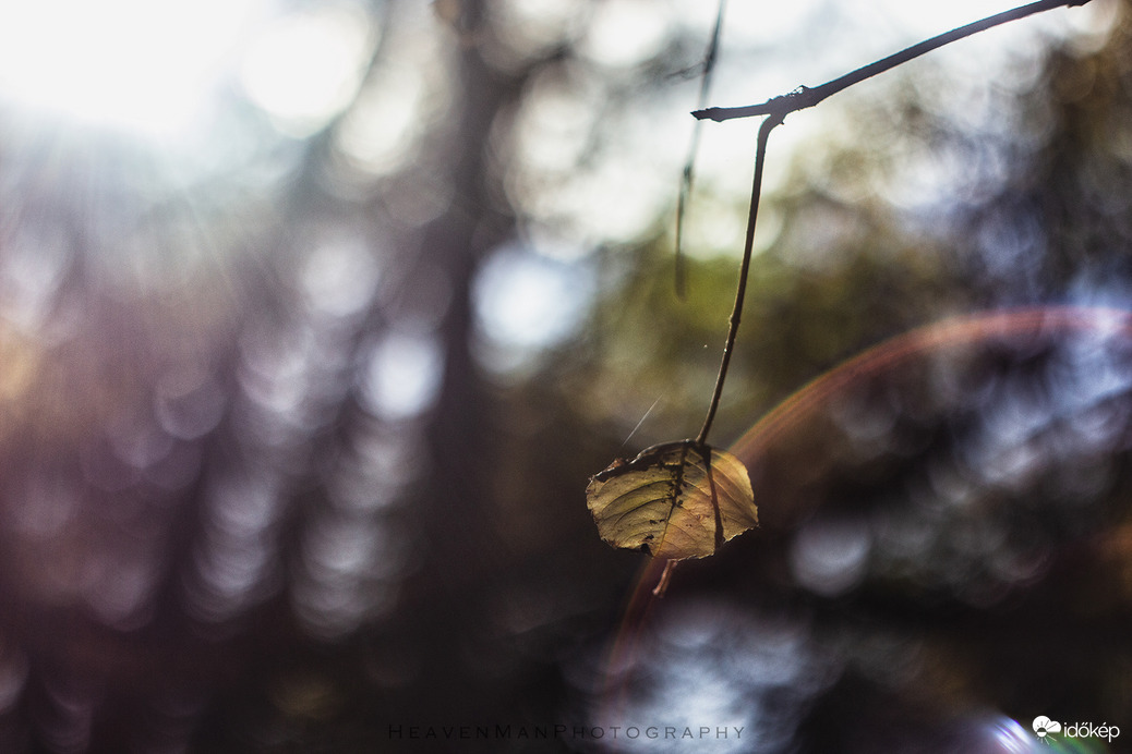 Az őszi Tisza mindig magával ragadó...3