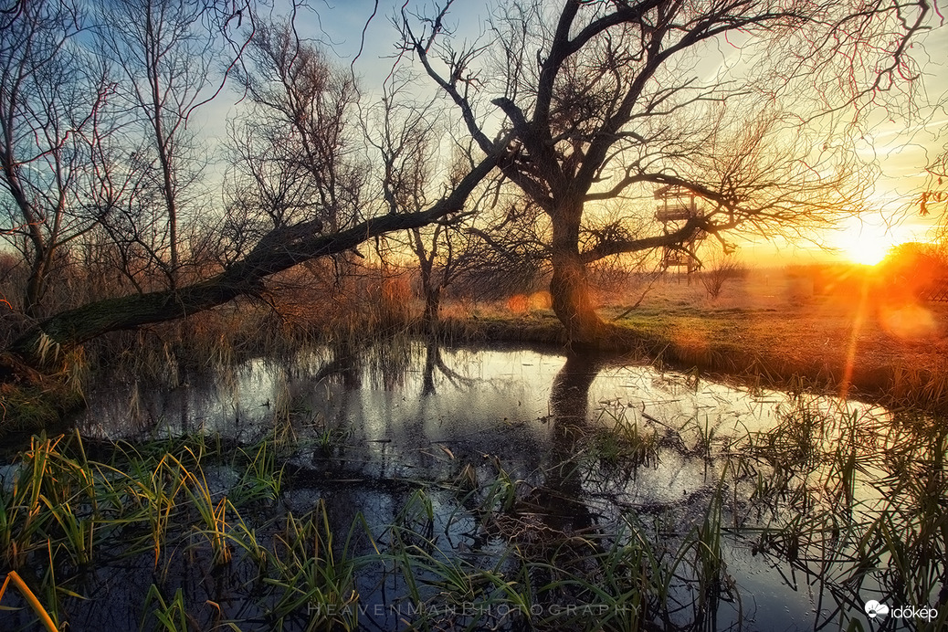 Festmény 2023 utolsó naplementéjéről