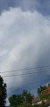 Kondoros