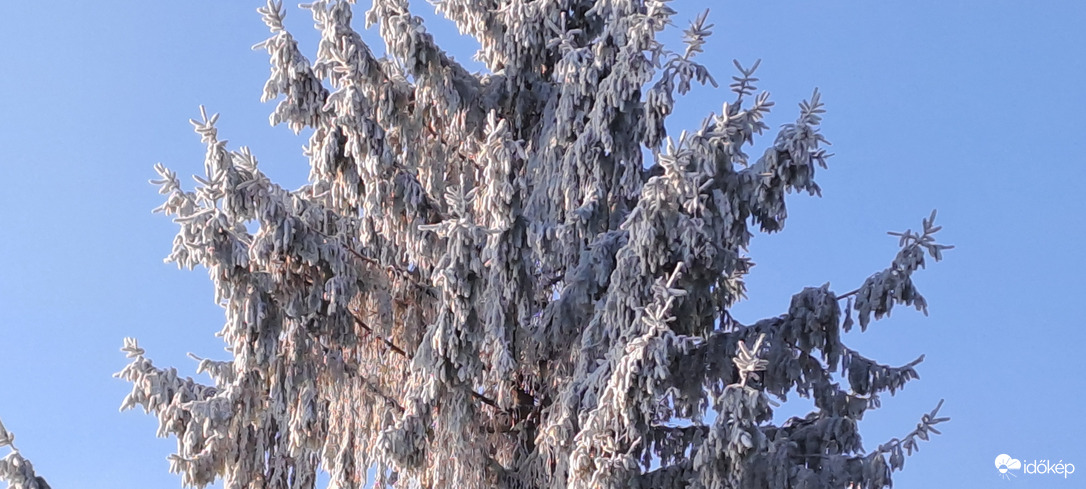 Maglód, 2026. 01. 20.