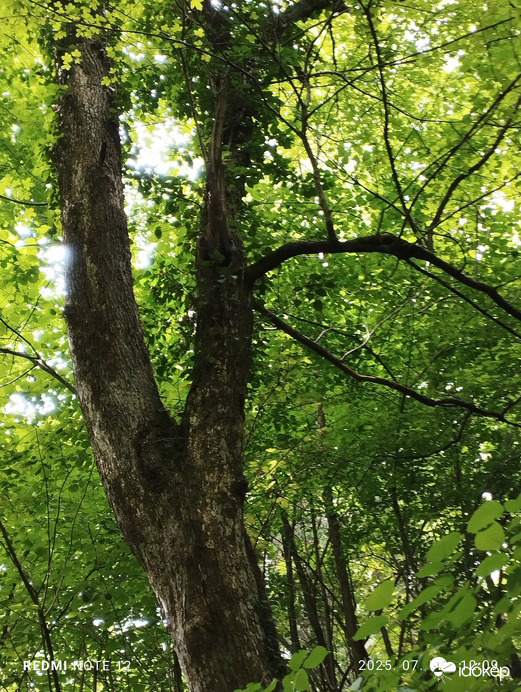 Nemesbük