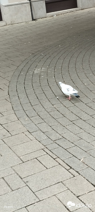 Nemesbük