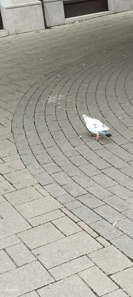 Nemesbük