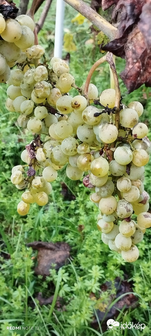 Nemesbük