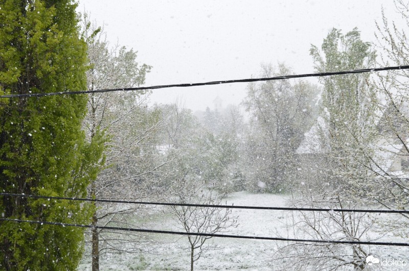 Észlelési fényképek