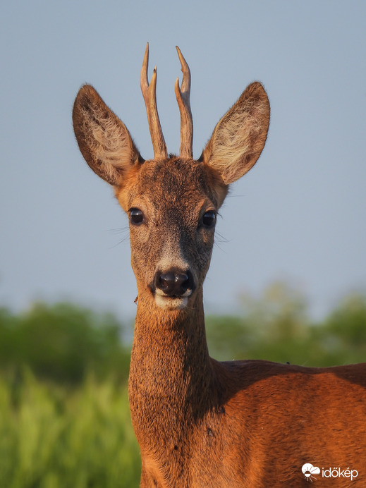 Fiatalság, kíváncsiság 