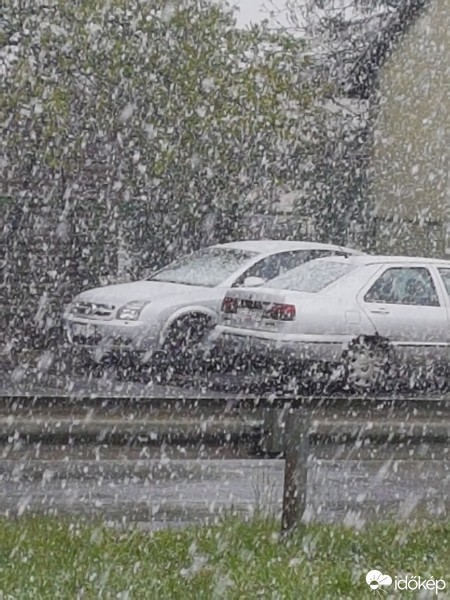 Észlelési fényképek