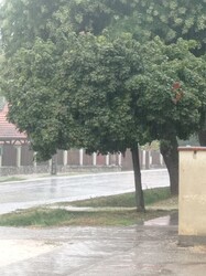 Tabajd