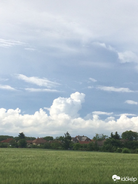 Észlelési fényképek