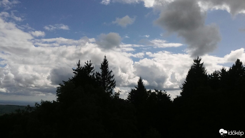 Észlelési fényképek