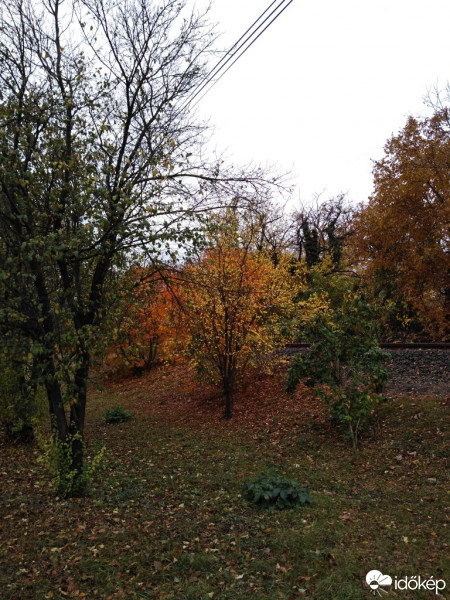 Nagyszénás