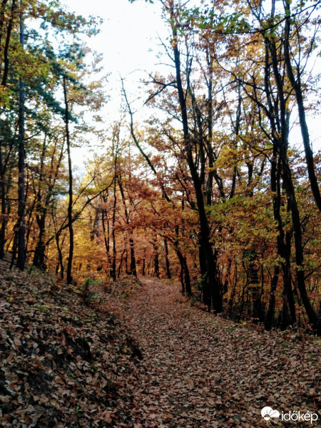 Parád