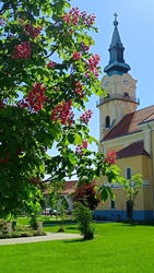 Kiskunmajsa