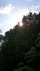 Kiskunmajsa