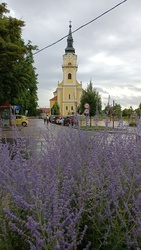 Kiskunmajsa