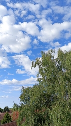 Kiskunmajsa