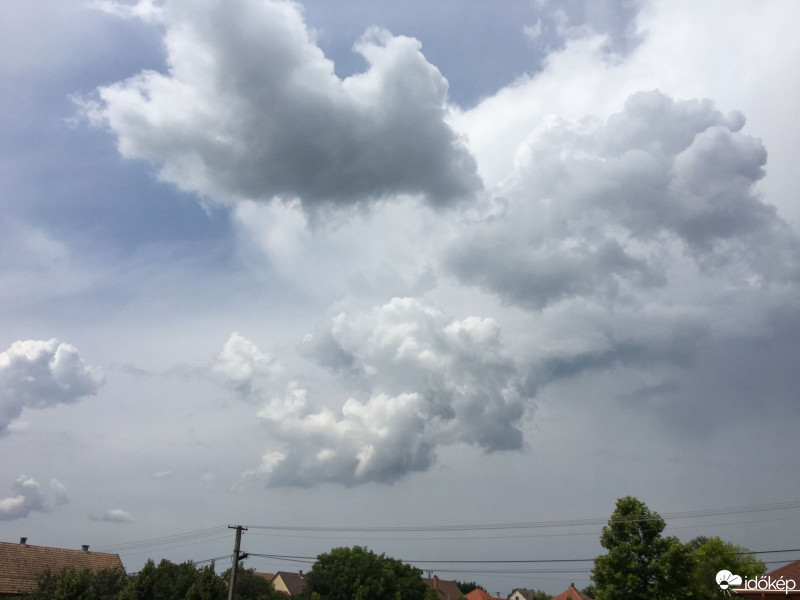 Észlelési fényképek