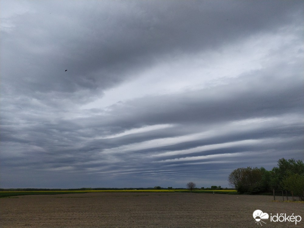 Észlelési fényképek