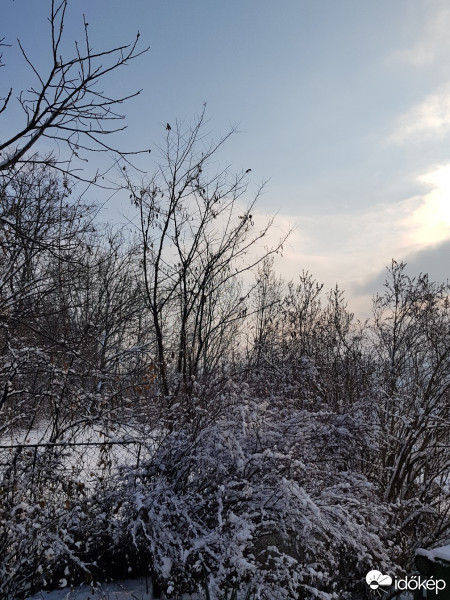 Észlelési fényképek