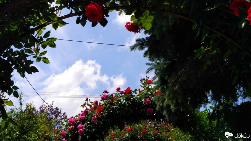 Észlelési fényképek