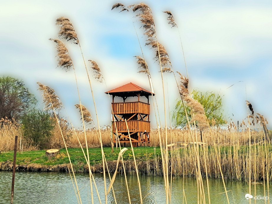 Természet