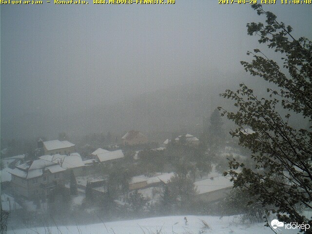 Észlelési fényképek