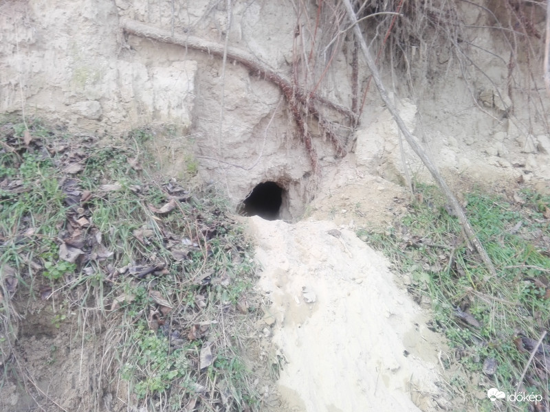 Vuk otthona - talán?! :)