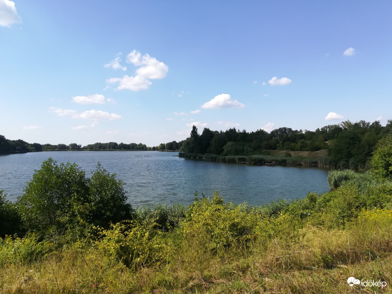 Horgásztó