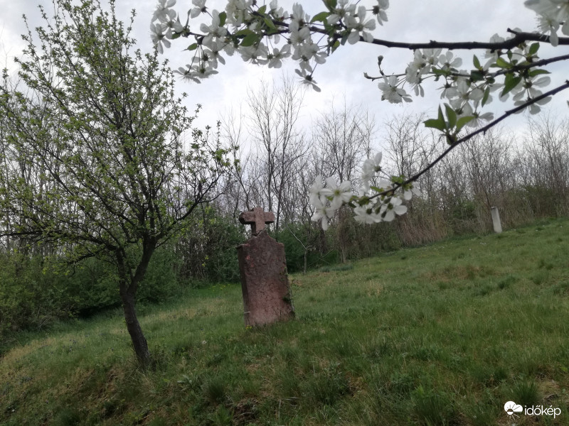 Csak...