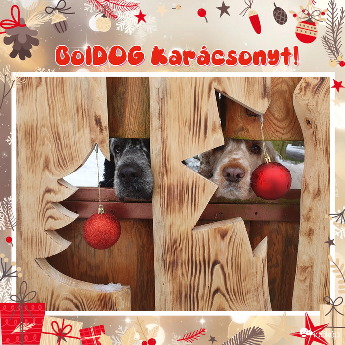 Boldog Karácsonyt Mindenkinek❤️