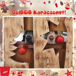 Boldog Karácsonyt Mindenkinek❤️