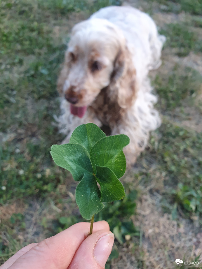 5levelűm és az 5évesem❤️