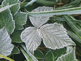 Az első októberi hóharmat 10.03.