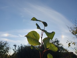 Dupla melléknap 10.19.