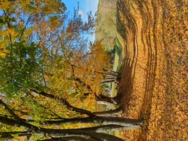 Napsütésben úszik az ősz