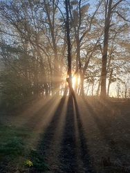 Pénteki reménysugarak